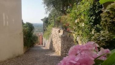 CA'ROSA an Italian experience in the old town - Foto 5