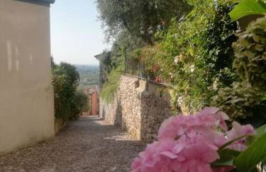 CA'ROSA an Italian experience in the old town - Foto 5