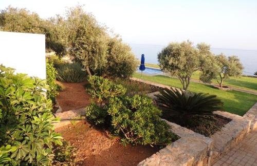 Studios Fokies - Photo 29