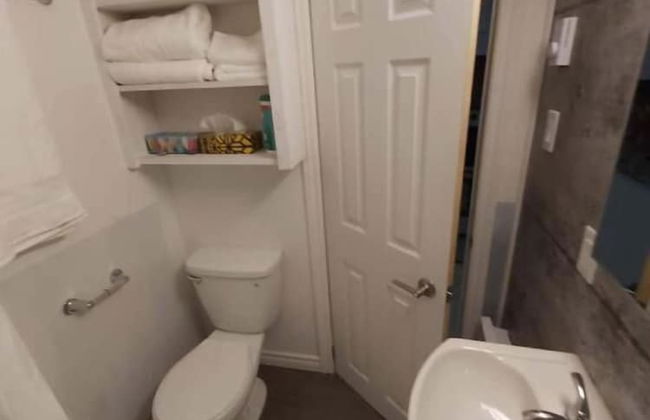 Le Cardinal - Foto 20