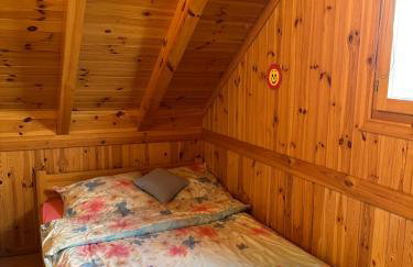 Mazury na Śląsku - Dom Wakacyjny z basenem - Foto 21