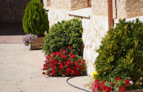 Las diez ovejas alojamiento rural - Foto 4