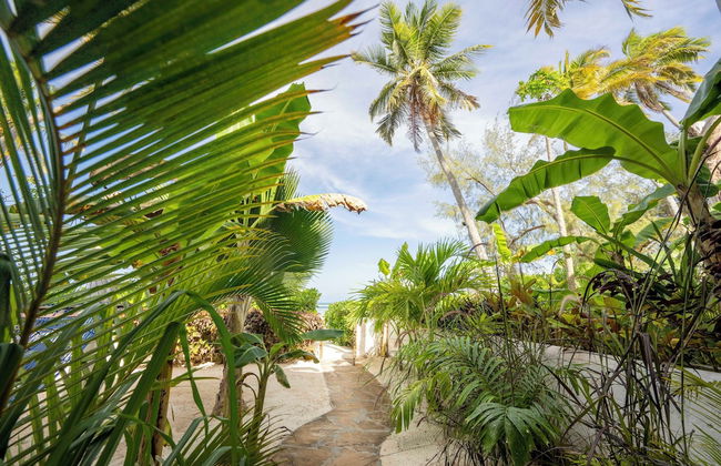 Surfescape Zanzibar - Photo 38