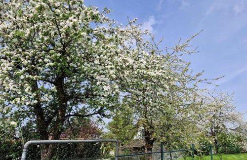 NEU! Ferienwohnung Beim Hubert - Foto 26