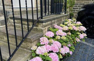 Ilkley Garden Suite - Photo 34