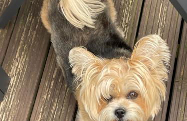 7 Rannoch Row, lovely holiday static caravan for dogs & their owners. - Photo 47