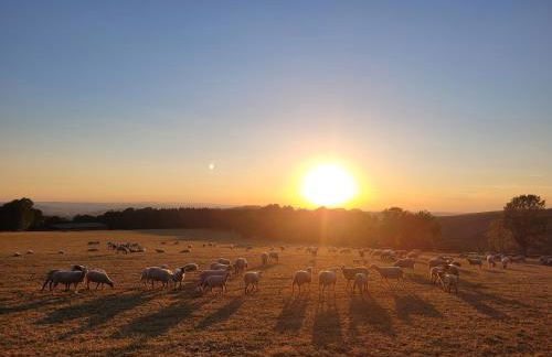 Landschule Rhön - Foto 41