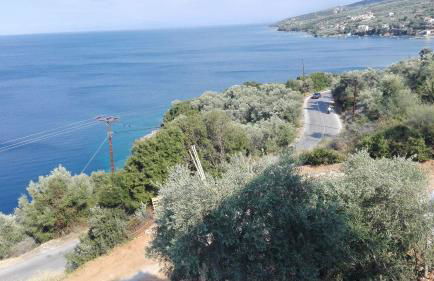 Notus Villa - Foto 20