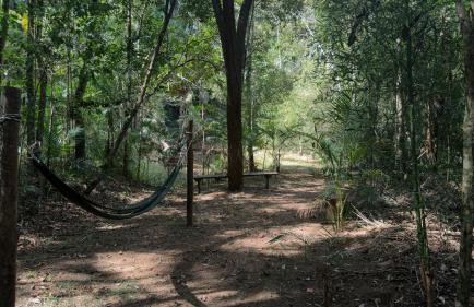 Sítio D Ouro - Foto 28