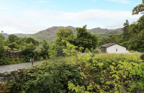 Scale Force - Foto 31