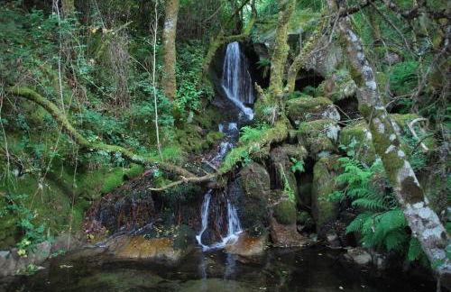 A Casa da Eira - Foto 38