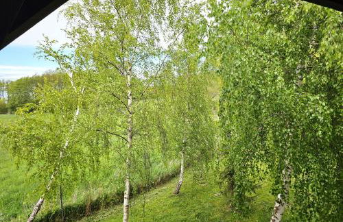 Hof am Meer "Seeadler" - Foto 20