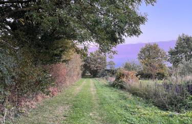 Wohnen im ehemaligen Kuhstall Stiehler Farm - Foto 27