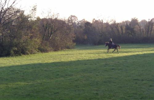 Agriturismo al Ranch - Foto 29