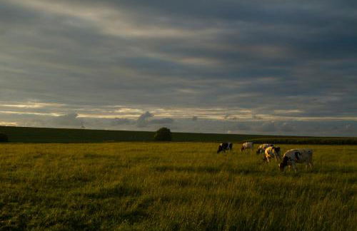 Haus Horizont - Foto 48