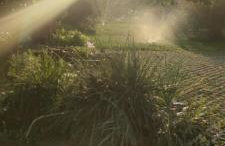 Żurawisko - Domki wśród natury - Foto 69