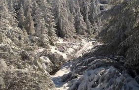 Casa Ribeiro - Foto 21