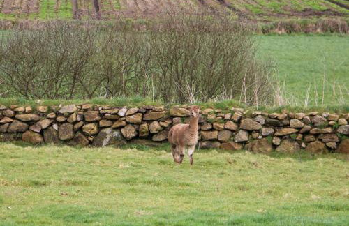 Chywolow Lodge - Photo 41