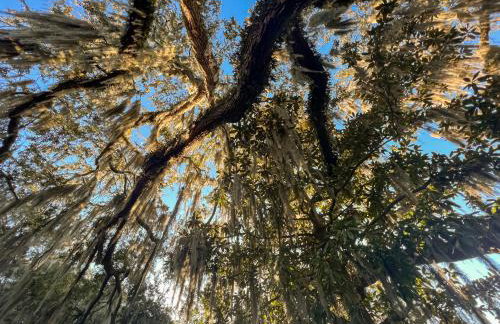 Cabana Madrid - Port Royal Luxury Rental Close Proximity to Parris Island and The Sands Beach - Foto 33