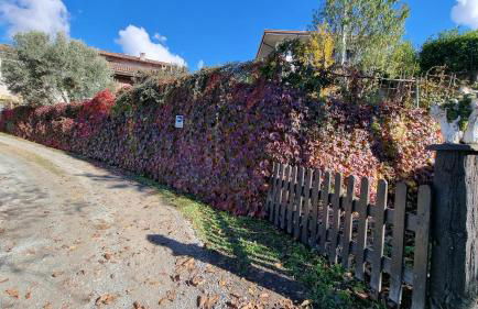 Ca ed Giuanoto - Photo 17