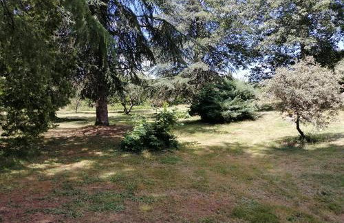 L'Esquiròu du Sécadou - Foto 21