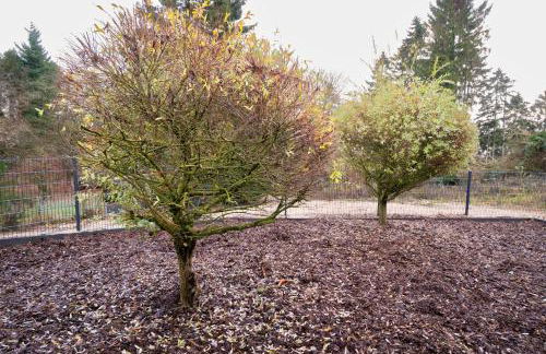 Ferienhaus nah der Ostsee, 110qm mit eigenem Garten - Foto 17