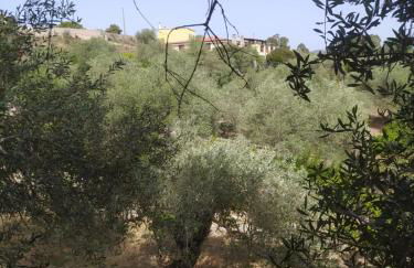 Casa Olea - Photo 51