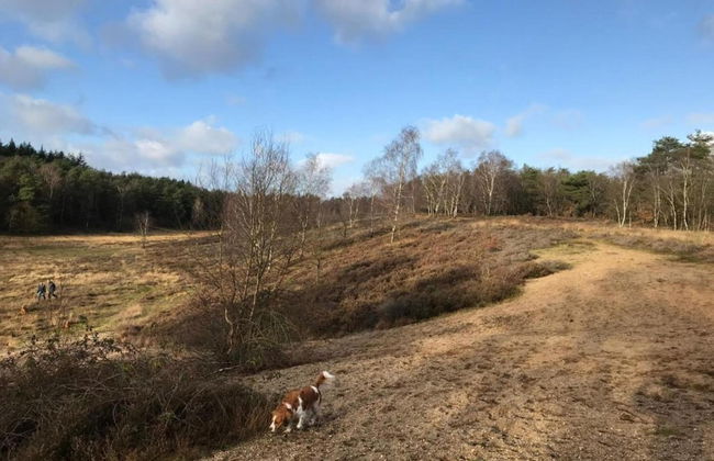 Home in the Dancing Forest - Foto 34