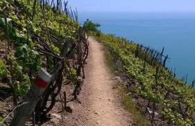 Creuza de Cinque Terre Apartment - Foto 4