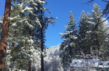 Ahwahnee-be Vintage Cabin - Walk to town! - Foto 18