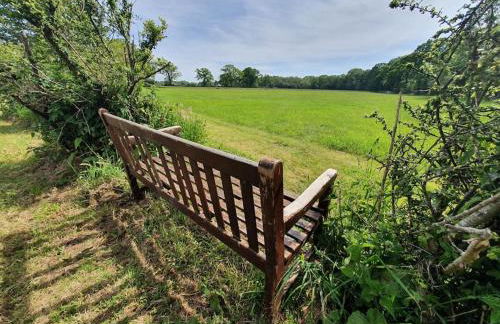 The New Forest Manor Apartment - Photo 4