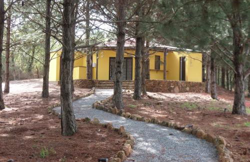 Pousada Recanto Primavera - Photo 34