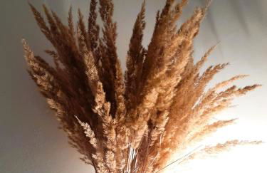 Spacious Home in Old-West - Leutsch - Foto 20