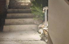 Apartment SanktVid - Foto 47