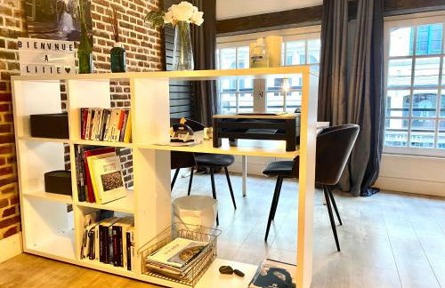 Appartement Héloïse, le charme du Vieux-Lille - Foto 8