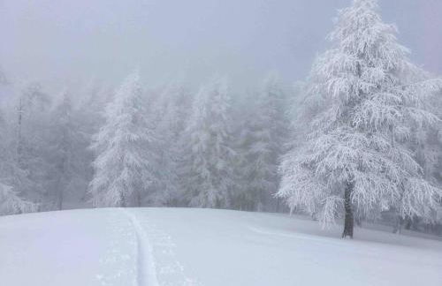 Cosy en Ecrins, terrasse avec vue *** - Foto 11