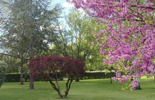 Logis de LANGE studio 2 p - Foto 52