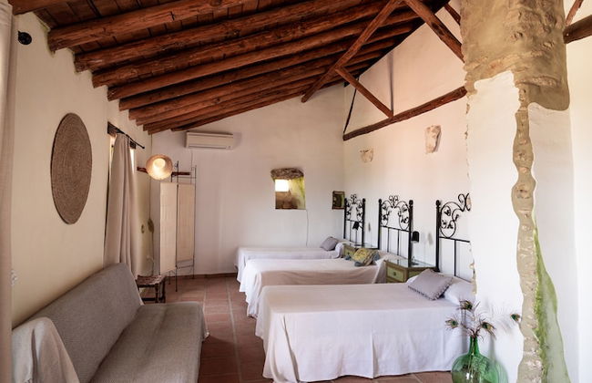 Algaba de Ronda - Foto 16