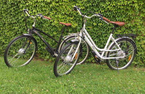 Dom Ogrodnika - Foto 60