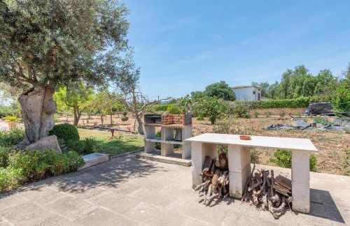 Cas Moliner - Photo 20