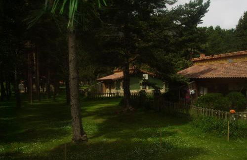 Los Ranchales Vinuesa - Foto 22