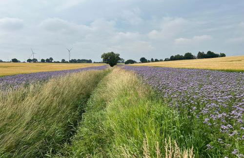Gut Koselau Landhaus III - Foto 25