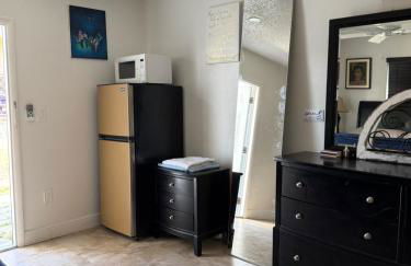 My Garden in Miami Florida - Photo 6