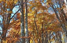 Ortighera Monolocale Relax sulla ciclabile - Foto 37