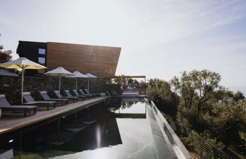 Five Olive Dream Trip - Photo 40