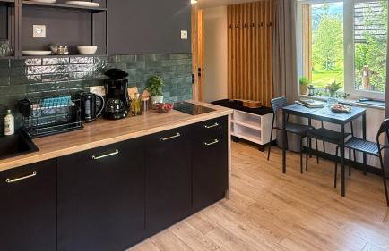 Apartamenty Drewno i Kamień - Foto 41