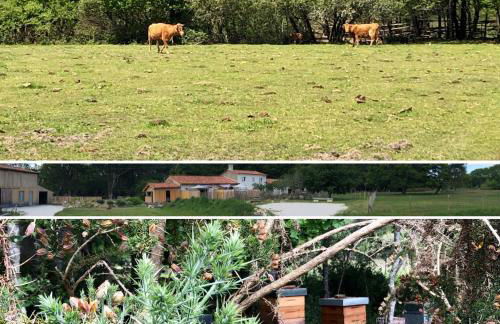 LES VACANCES AUX CERCINS - Foto 31