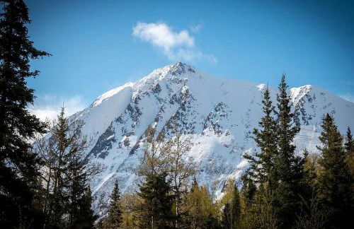 Rustic Log Cabin on the Banks of Kenai Lake, Alaska - Foto 13