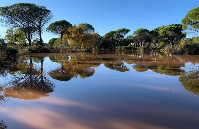 Villa in Vidauban With Pool & Vineyards Nearby - Foto 30