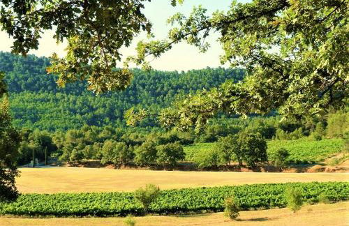 Le Mas Sérénité - Foto 45